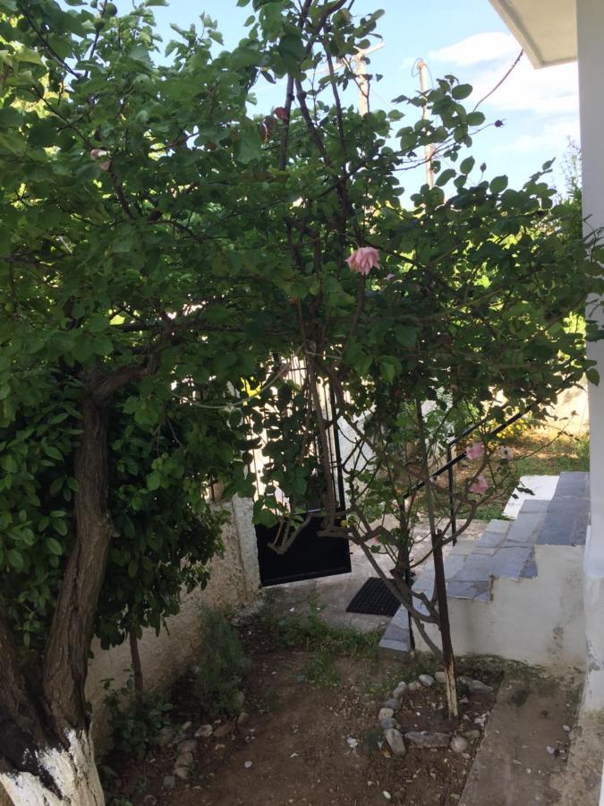 Rose'S Place อาร์เตมีดา ภายนอก รูปภาพ